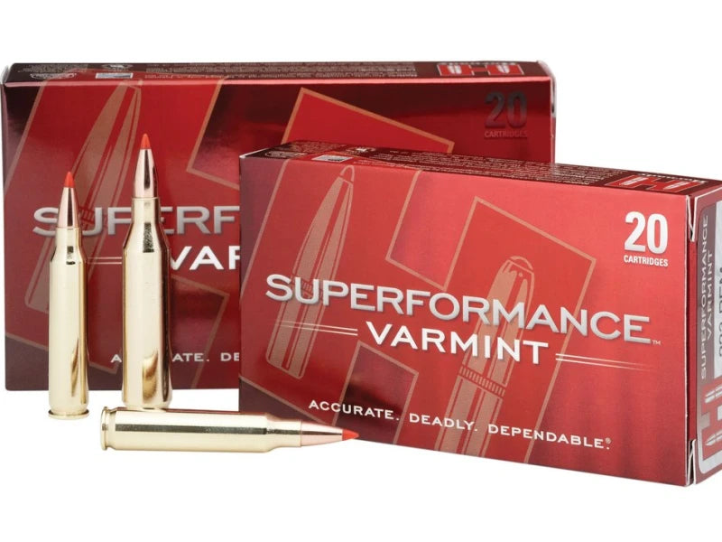 Hornady Ruger .204 40gr V-Max