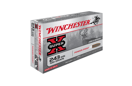 Winchester .243 100gr Power Point