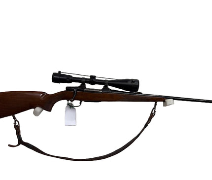 CZ 550 .243 - 6018