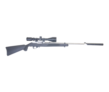 Ruger 10-22 - 6163
