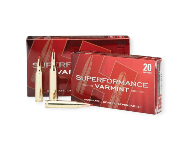 Hornady Ruger .204 40gr V-Max
