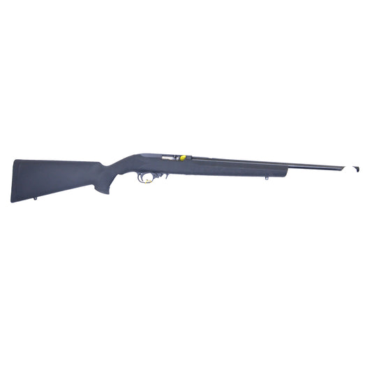 Ruger 10-22 (New) -5355