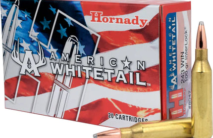 Hornady American Whitetail .243 100gr